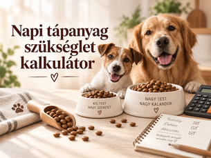 Napi energiaigény-kalkulátor