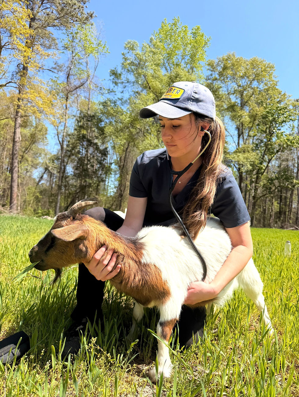 Madeline, checking on Sweet Pea. A glimpse into the everyday care she provides for the animals.