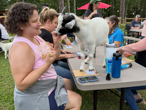 Spring Events Kickoff: Fun Filled Days Ahead