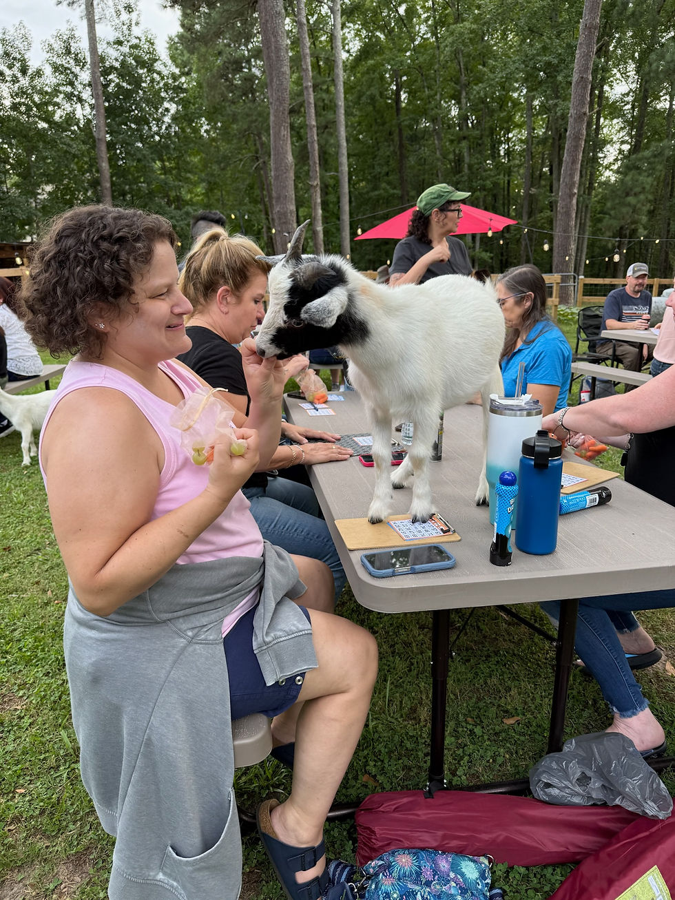 Spring Events Kickoff: Fun Filled Days Ahead