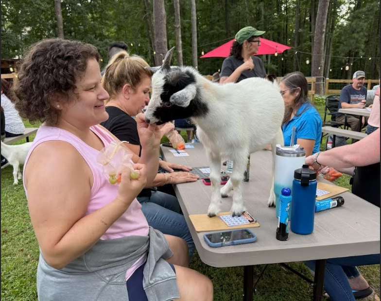 Rico enjoying some treats during BINGO