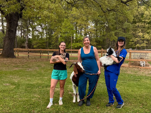 The Women Behind Smith Farm Goat Sanctuary