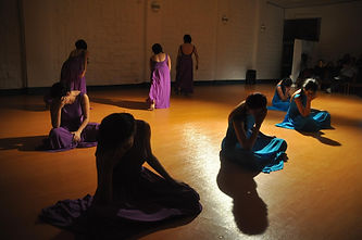 DESVÍO_DANZA_2014_3.jpg