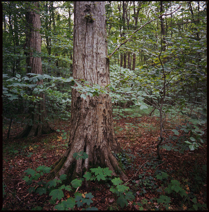 Waldbaden mit Lara Keuthen, Editorial, Portrait