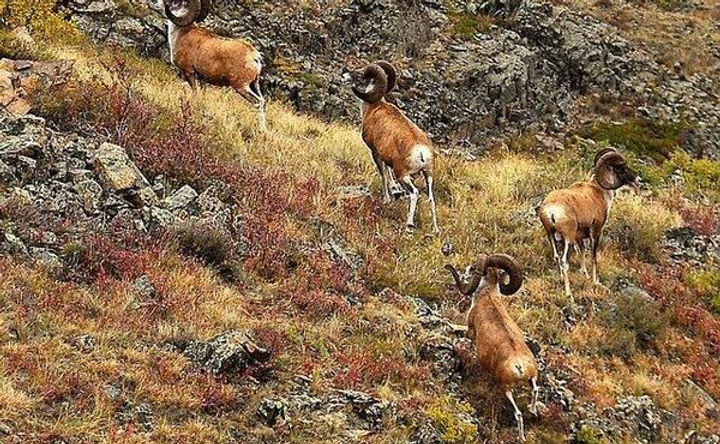 107970626_1352570968266832_2362277911417697066_n.jpg