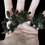 Miniaturbild: Bucephalandra Polster versch. Sorten