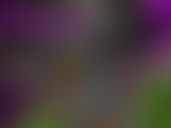 SITARA Night Vol.6- Summer Night of Stars