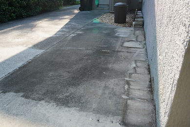 DSC00407.JPG
