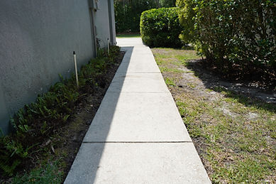 DSC00531.JPG
