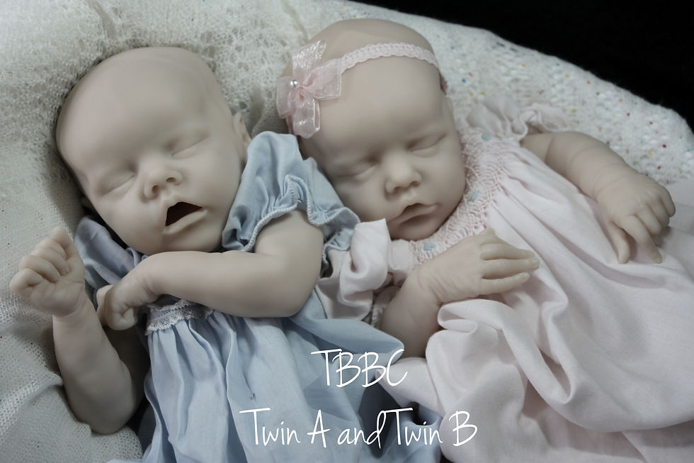 Thumbnail: Twin A - Blank Vinyl Canvas