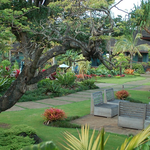 garden lounge.jpg
