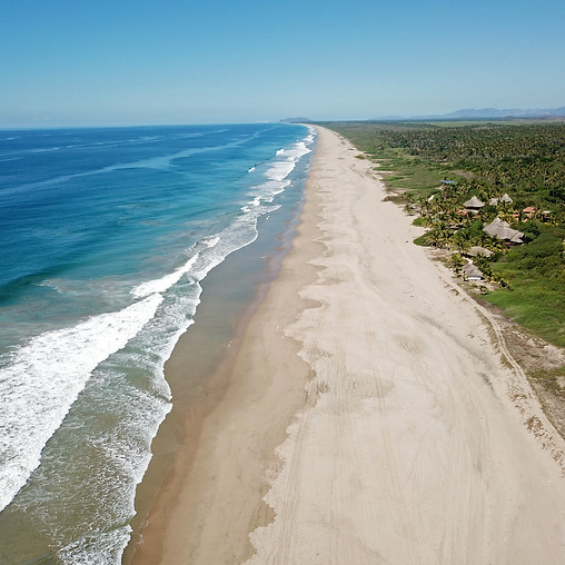 Photo Courtesy of Playa Viva by Steve Shea.JPG