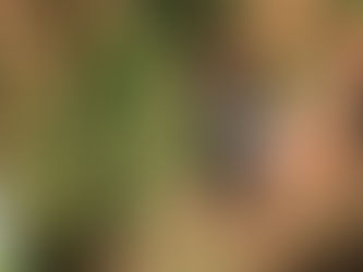 Radon in Grantham, Lincolnshire