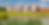mk houses.webp