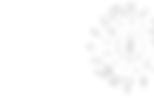 notes background.webp