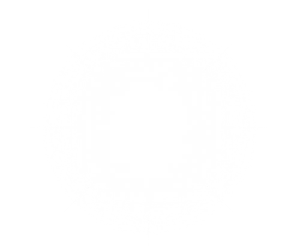 SPARKLE.webp
