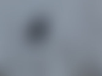 Golf Course Wildlife News Update