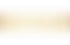 parchment mid.webp