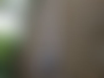 Radon Wilbarston - Northamptonshire