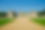 WOBURN ABBEY.webp