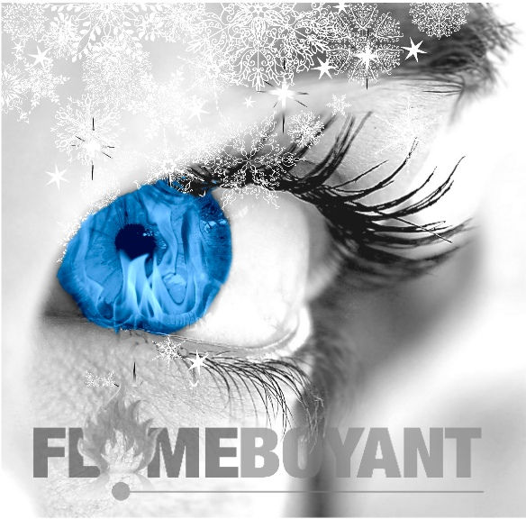 Flameboyant Website Design Image