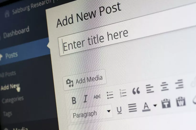 Wordpress websites in 2022