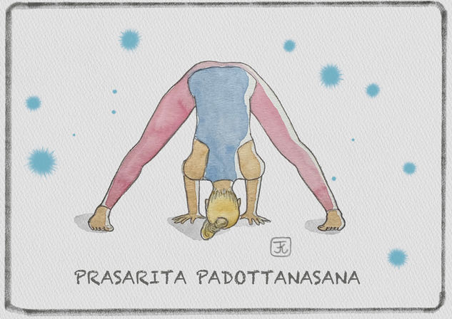 prasarita padottanasana, yoga, asana, yoga posters, yoga cards