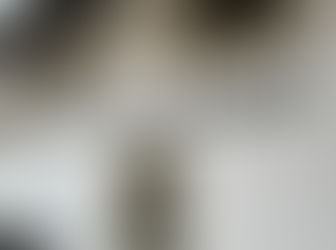 La Pinte des Trois Canards à Fribourg, pour ma dernière chasse de l'année. C'est bien dommage que la cuisine ne soit pas aussi bonne que l'accueil !