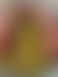 Papet vaudois et saucisse au chou.