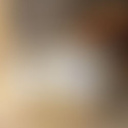 Un vrai délice ! Voici la recette de mon pâté en croûte, fait 100 % maison. De la pâte au saindoux, à sa délicieuse et originale farce.