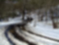 DSCF0781-th.JPG