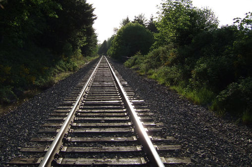 A straight of rail road track running along side of Lookout Point Lake in Oregon.