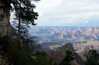 just below the south rim of the Grand Canyon
