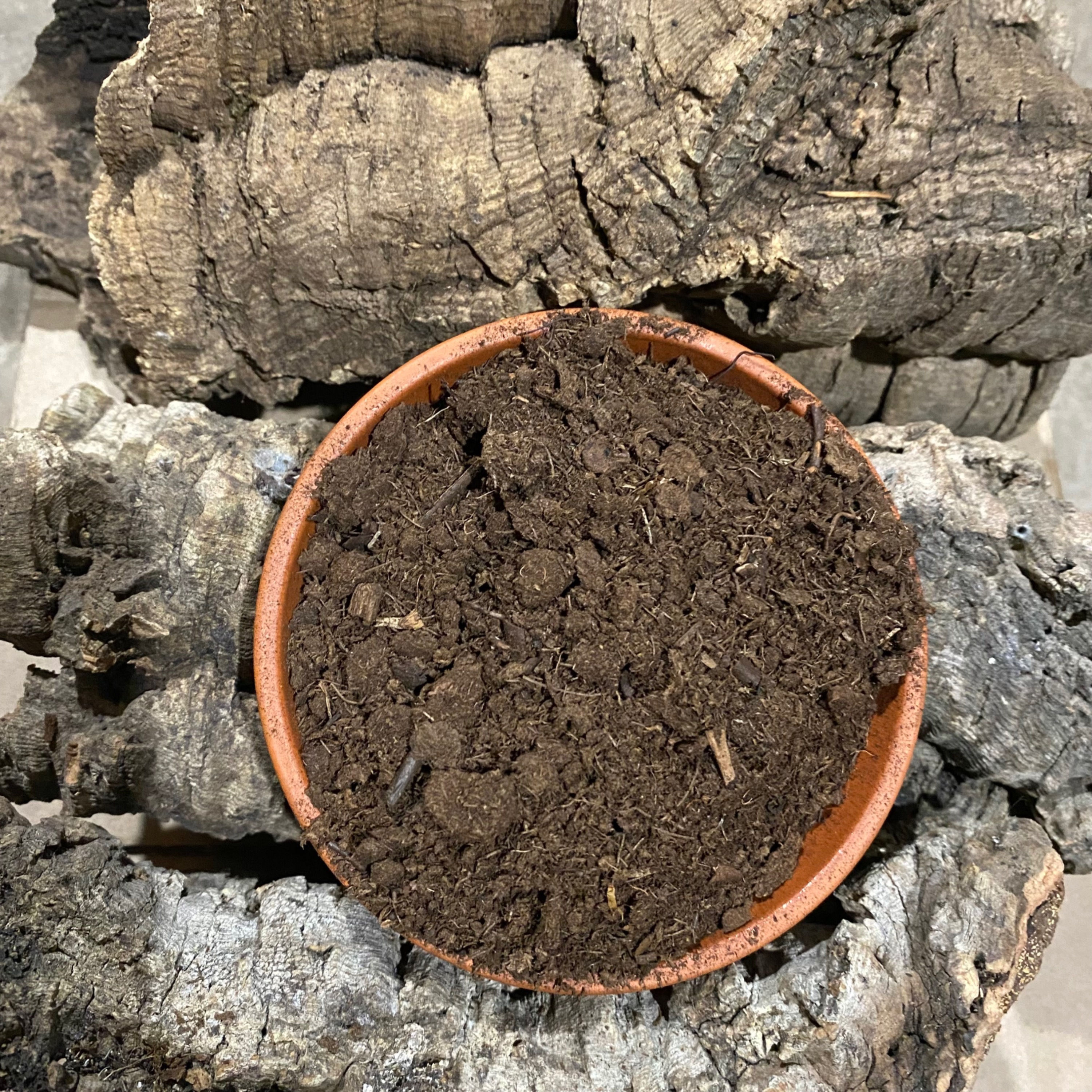 Sphagnum Peat Moss (Organic) 1 Gallon