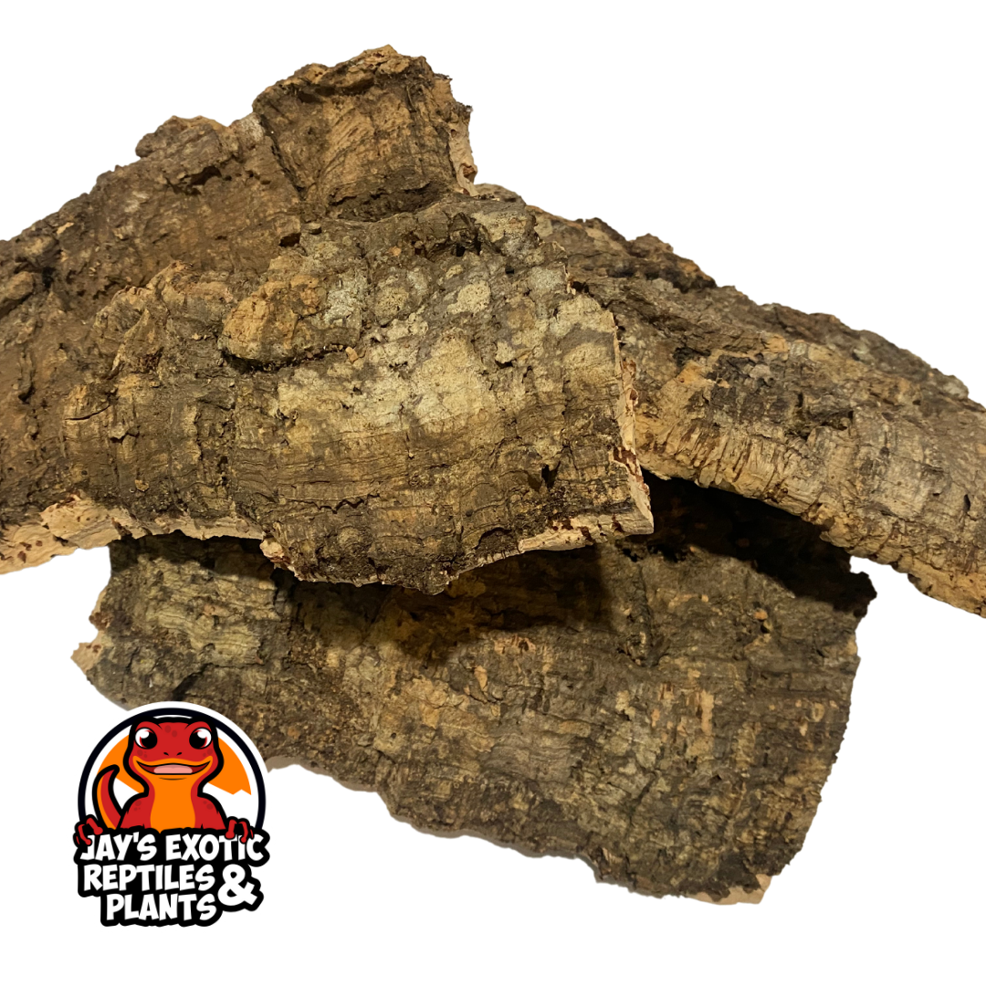 Cork Bark Flats (By the pound)