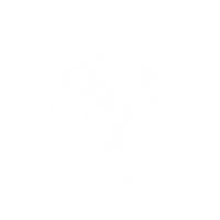 rnb logo transparent.png