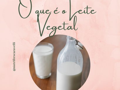 O que é o Leite Vegetal?
