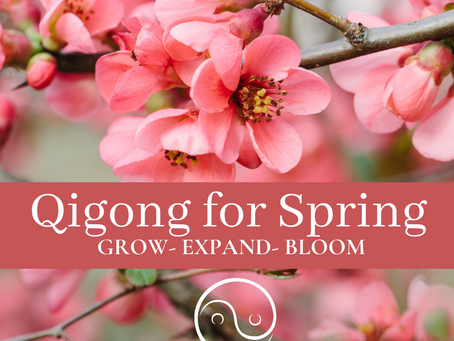Qigong for Spring- Grow, Expand & Bloom!