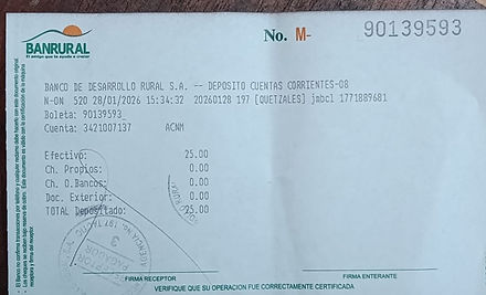 Ejemplo Boleta.jpg