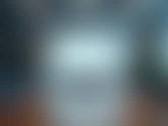 Workday Programme Oversight