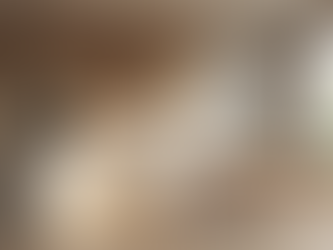 Home Renovation in Los Angeles