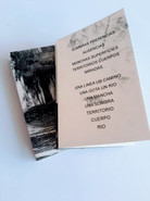 libro-reflejos.jpeg