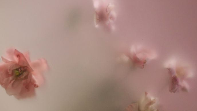 White and Pink Elegant Minimalist Floral Inspirational Love Quote Instagram Story_edited.j