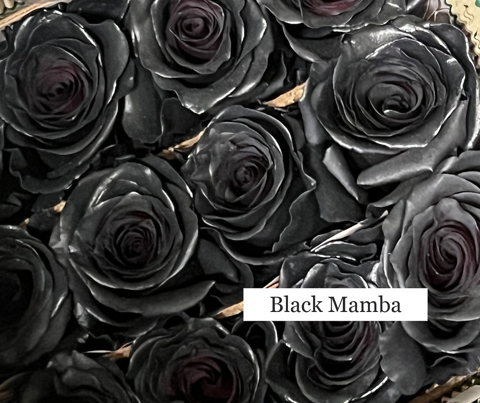 Thumbnail: Tinted Roses Bouquet