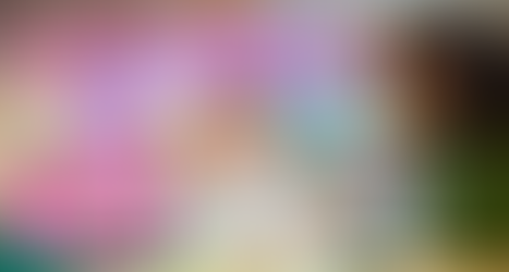 Overcoming Challenges in Response to Intervention (RTI): Insights from 17 Years in Special Education