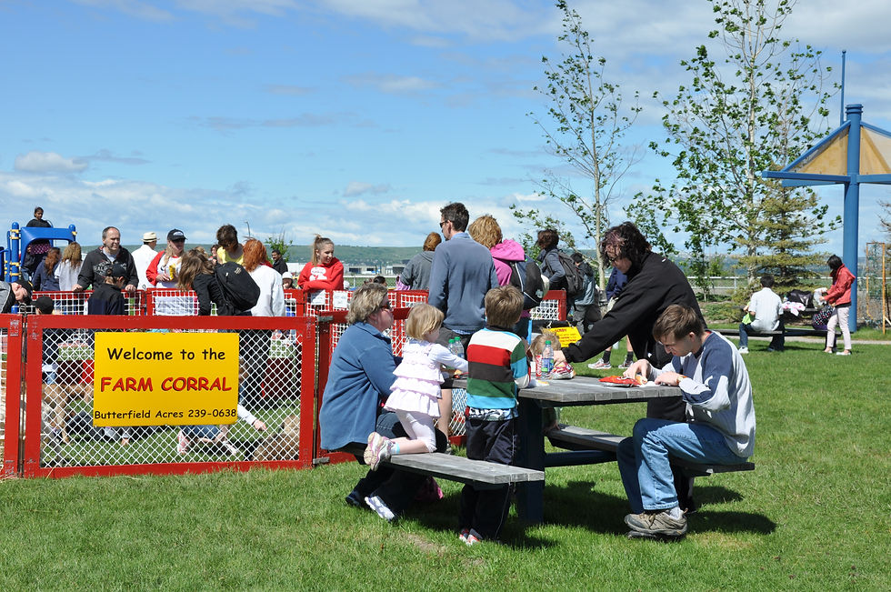Picnic