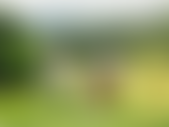 A Heartfelt Thank You: Sky Top Orchard Named #3 Apple Orchard in the Nation