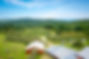 DJI_0067 (2).jpg