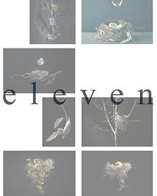 eleven_nests.JPG