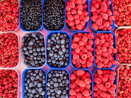 Exploring and Enjoying an Array of Delicious Berries